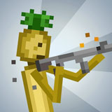 菠萝游乐场（去广告）